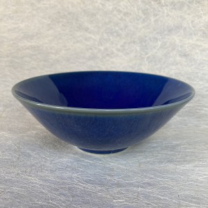 Multi use  bowl fel blauw bi&bu/Multi use bowl bright blue in/out
