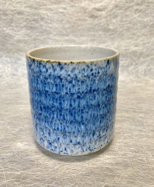 Tas met blauwe stippen.