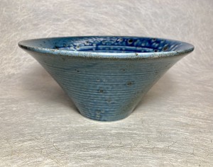 Noodle kom Earth blauw strak konisch.