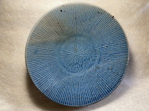 Schaal earth blauw L